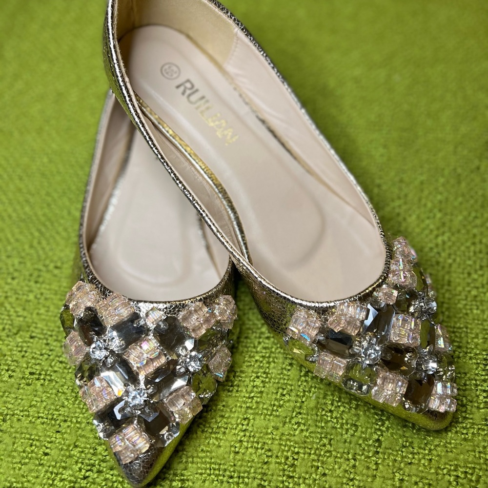 Ruilian embellished pointed flats NWOT